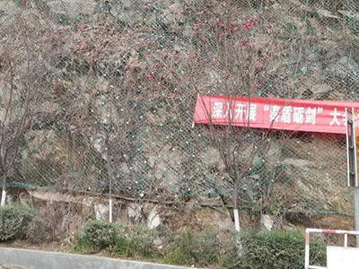 四川两河镇边坡防护工程 - 安平县佰泰金属丝网制品有限公司图片2